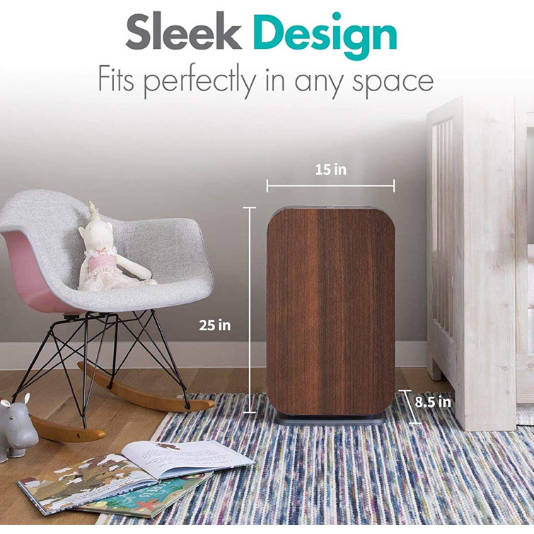 Air purifier 2025 700 sq ft